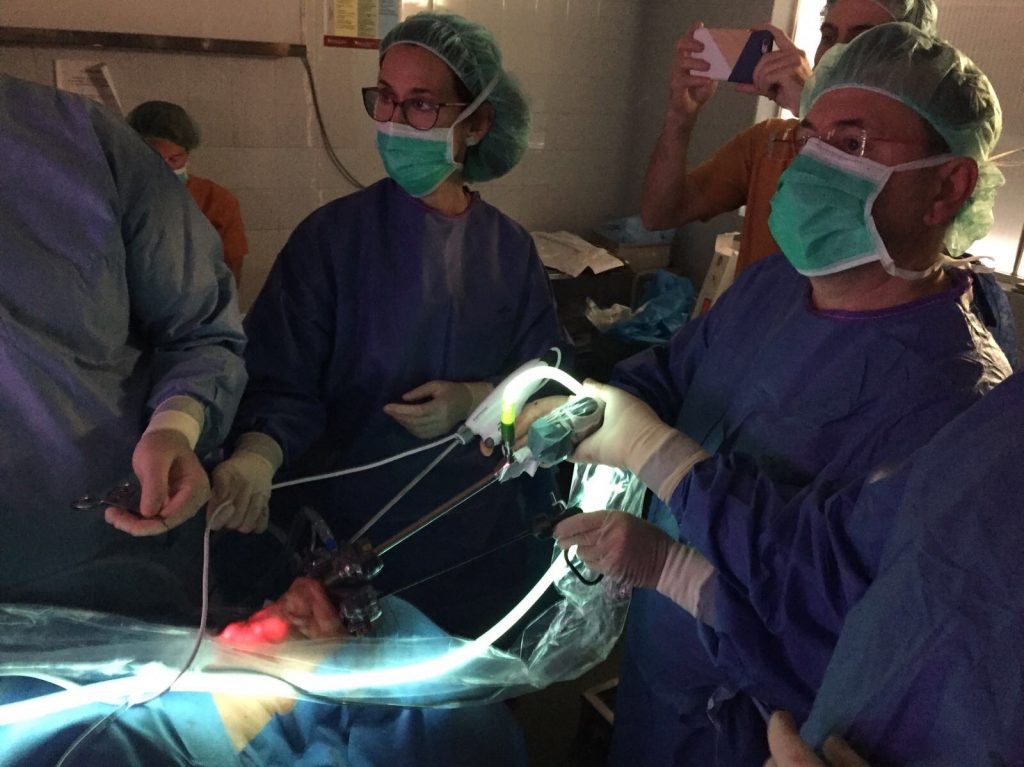 TOETVA scarless thiroidectomy Workshop Pablo Moreno