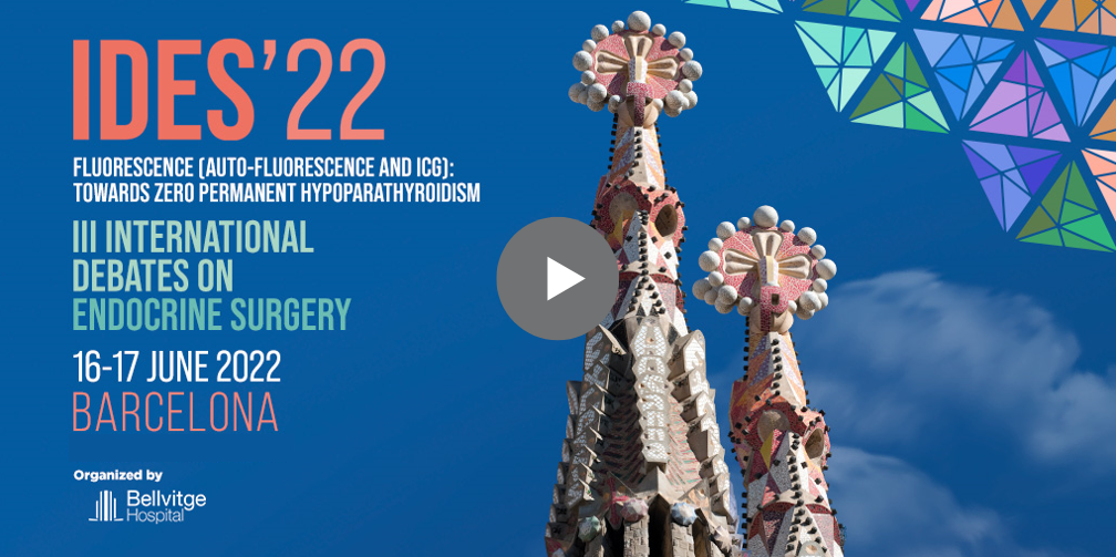 IDES 22