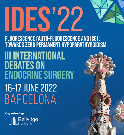 IDES 22 Barcelona